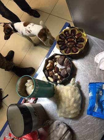 СБУ задержала в Одессе наркодилеров, которые прятали кокаин в конфетах 