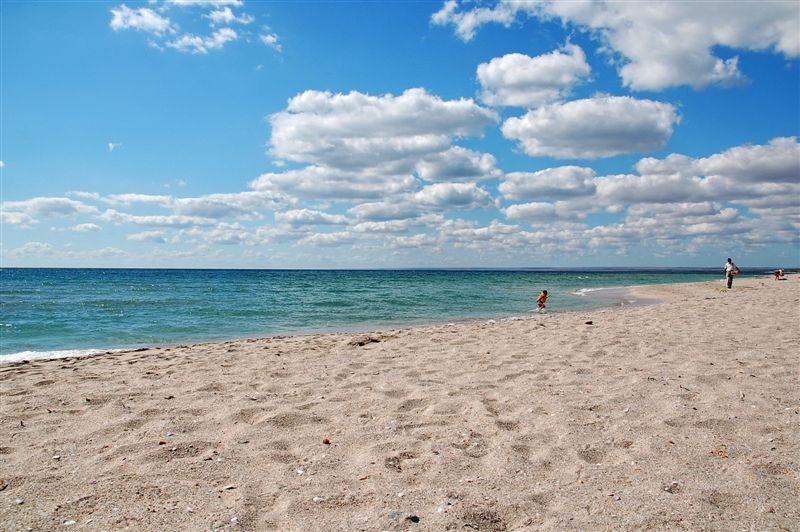 Вода на трех пляжах Одессы не соответствует нормам