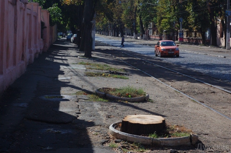 Одесские активисты посчитали лунки для деревьев, закатанные в асфальт