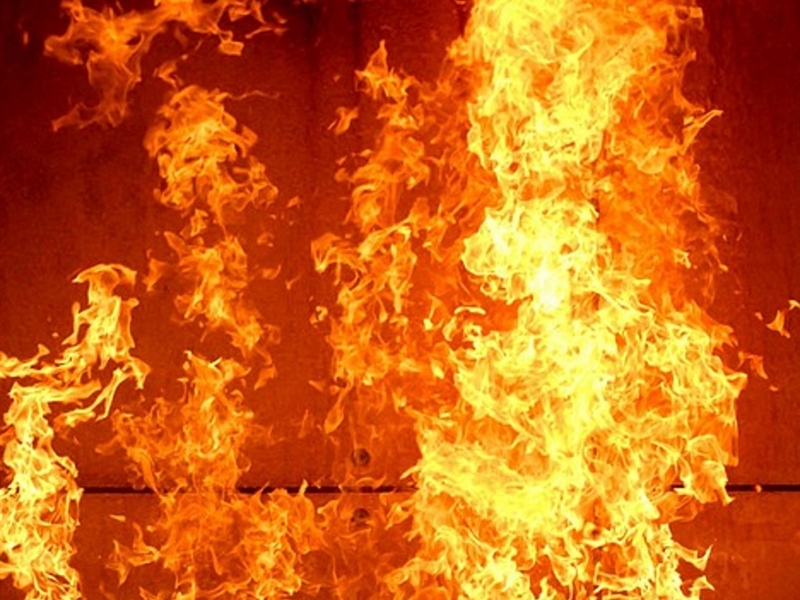 В Одесской области на пожаре погибла женщина 