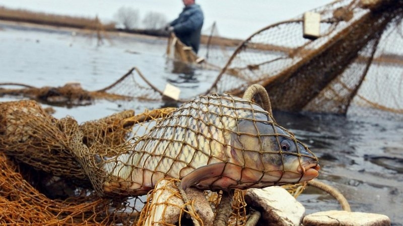 В Одесской области пограничники задержали трех браконьеров