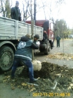 В Одессе высадили рябины и яблони