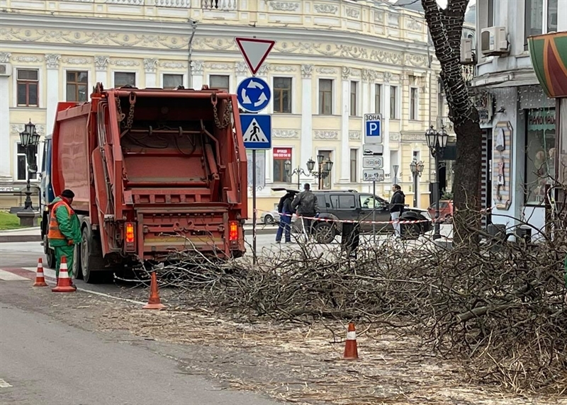 Вниманию водителей: по Екатерининской движение транспорта затруднено из-за обрезки деревьев