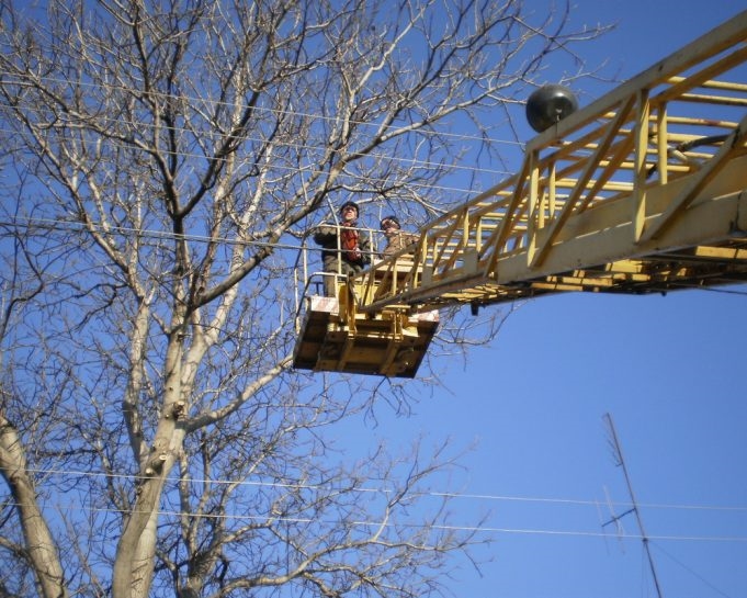 Движение в центре Одессы затруднено из-за обрезки деревьев