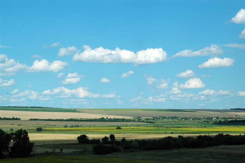 В Ширяевском районе громаде вернули 150 гектаров сельхоз угодий 