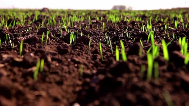 Аграрии Одесской области готовятся к весеннее-полевым работам