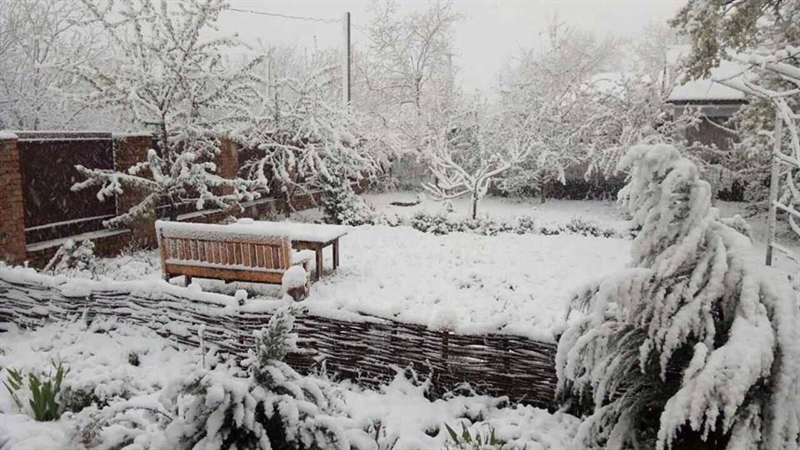 Одесскую область засыпало снегом 