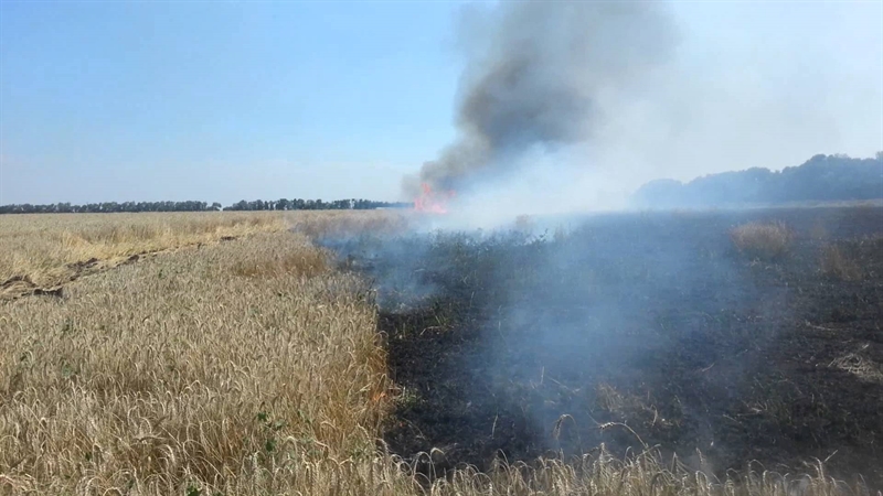 В Одесской области опасная ситуация с возможными пожарами