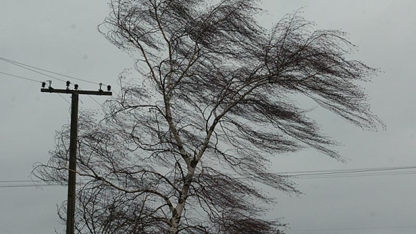 Последствия сильного ветра: несколько населенных пунктов Одесской области уже обесточены