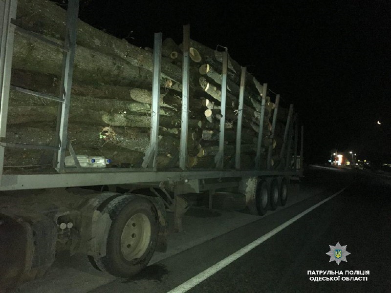 Вблизи Маяков обнаружили незаконную перевозку древесины