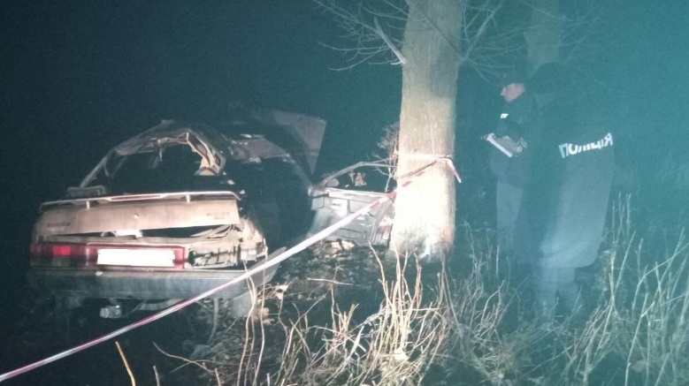 В Одесской области пьяный водитель въехал в дерево: есть погибший