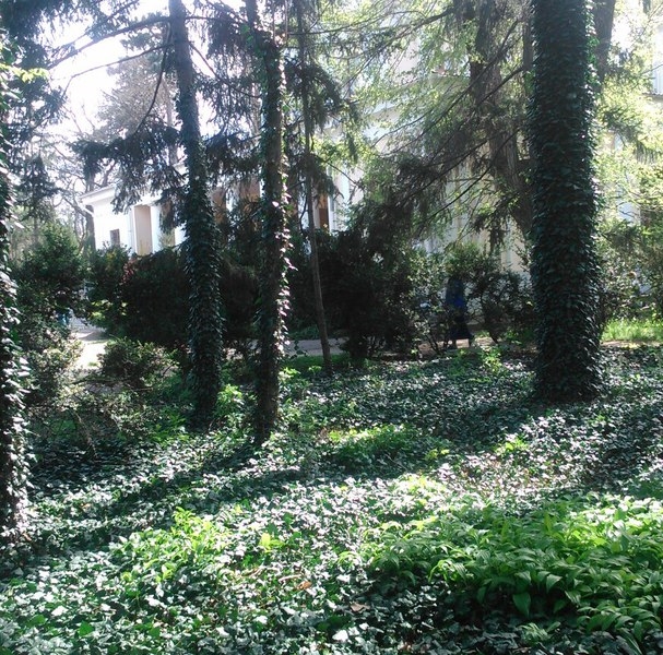 В одесском Ботаническом саду состоялся фестиваль “Весенний день»