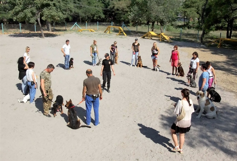 В Одессе открыта новая специализированная площадка для выгула собак