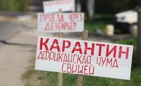 В Одесской области зарегистрирован новый случай африканской чумы свиней
