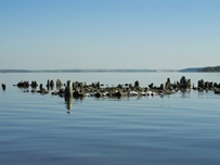 Куяльник снова будут наполнять морской водой