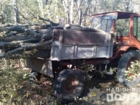 В Арцизском районе задержали лесорубов