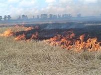 В Одесской области за сутки произошло более 10 пожаров на открытой местности