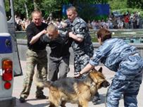 Милиция поймала 177 беглых преступников за неделю