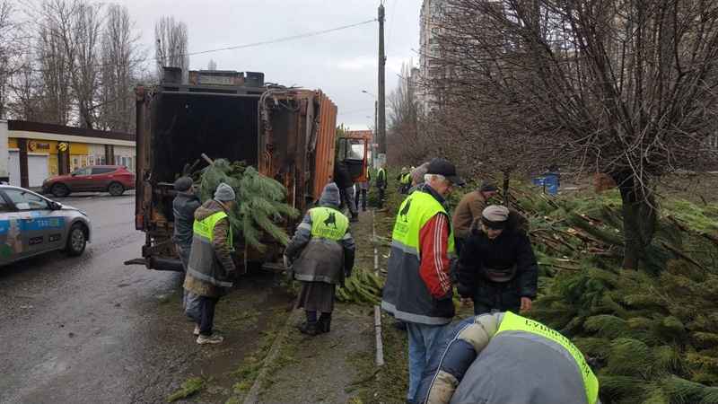 Тысячи брошенных елок обнаружили одесситы 1 января