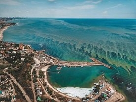 Море в Одессе окрасилось в зеленый цвет из-за водорослей