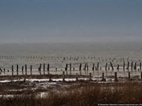 Одесский «Куяльник» соединят с морем в четверг ФОТО