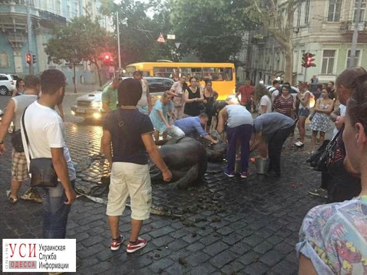 В Одессе спасали лошадь, которой стало плохо из-за жары 