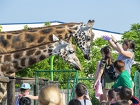 Детский праздник в Биопарке для меленьких одесситов