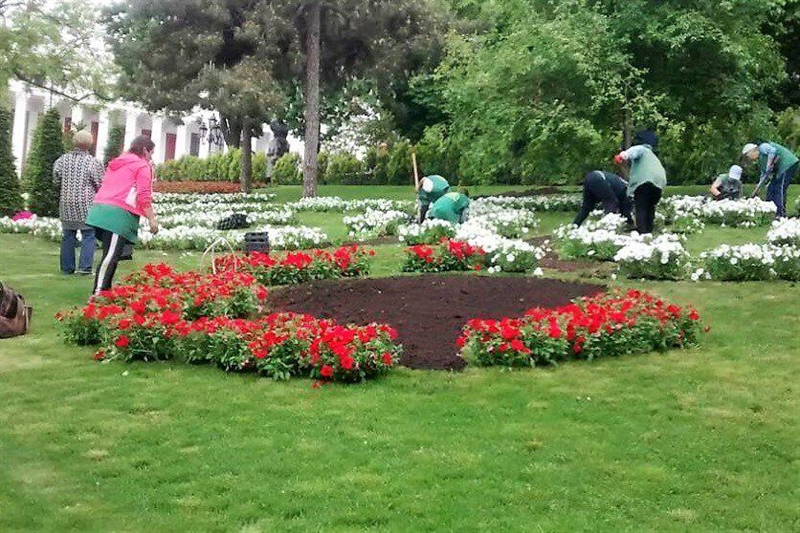 Узоры из летних цветов украсили склоны Стамбульского парка 