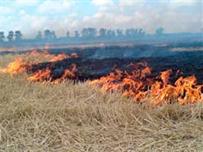 Жители Одесской области умышленно устраивают полевые пожары