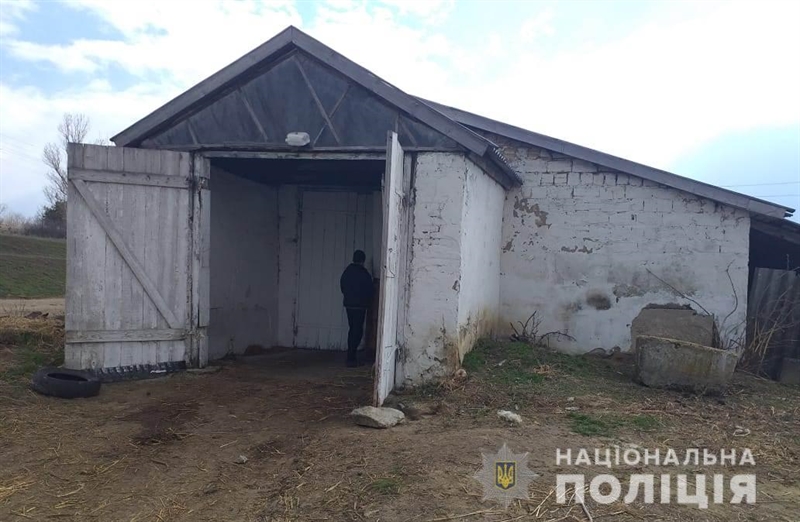 В Одесской области подростки украли теленка