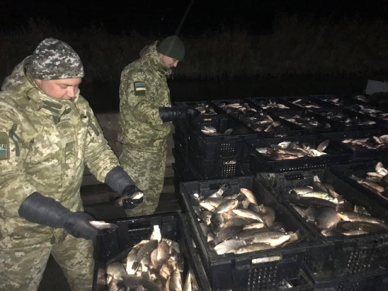 На Днестровском Лимане браконьеры поживились 4 тоннами рыбы