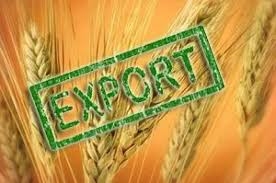 Экспорт зерна из Украины превысил 47 млн т