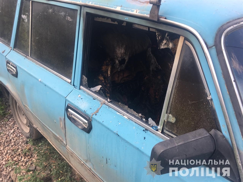 Жителю Беляевского района, который поджег автомобиль односельчанина, вынесен приговор