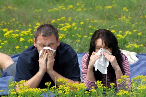 Одесситы стали намного чаще страдать от аллергии, - врачи