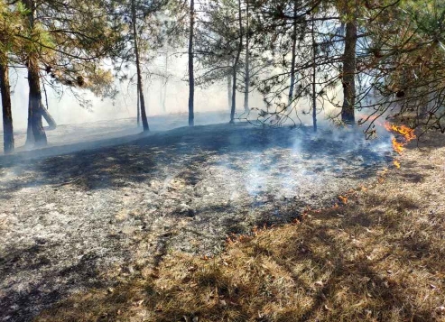 В Килийском районе сгорело более 2 гектаров травы 
