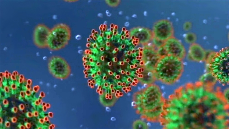 Ученые оценили шансы заразиться коронавирусом для людей с разными группами крови