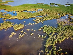 На юге Одесской области готовятся создать национальный парк