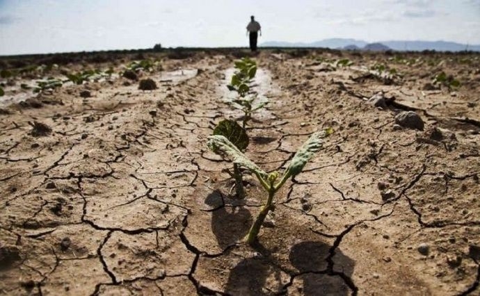 Засуха: Аграрии региона оказались на грани полного банкротства