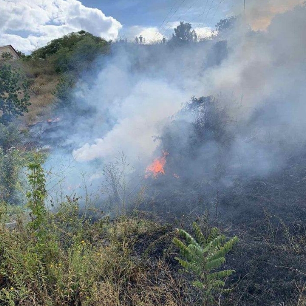 Спасатели ликвидировали пожар на прибрежных  склонах