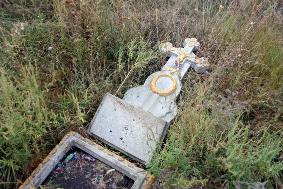 Женщина разгромила могилы в селе Маяки 