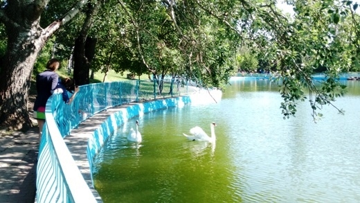 В одесском парке Победы благоустраивают территорию возле прудов
