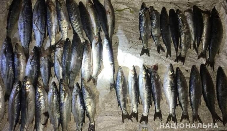 В Тузловских лиманах выловили браконьера