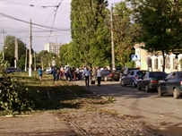 Отчаявшиеся одесситы забрасывают дороги ветками ФОТО ВИДЕО