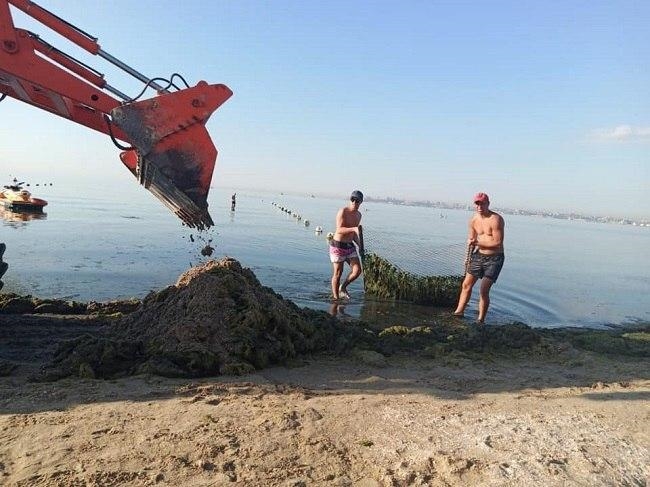 Вчера с пляжа «Лузановка» вывезли 16 грузовиков гниющих водорослей
