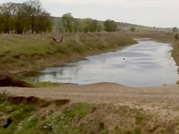 Засуха: В реках Арциза наблюдается низкий уровень воды