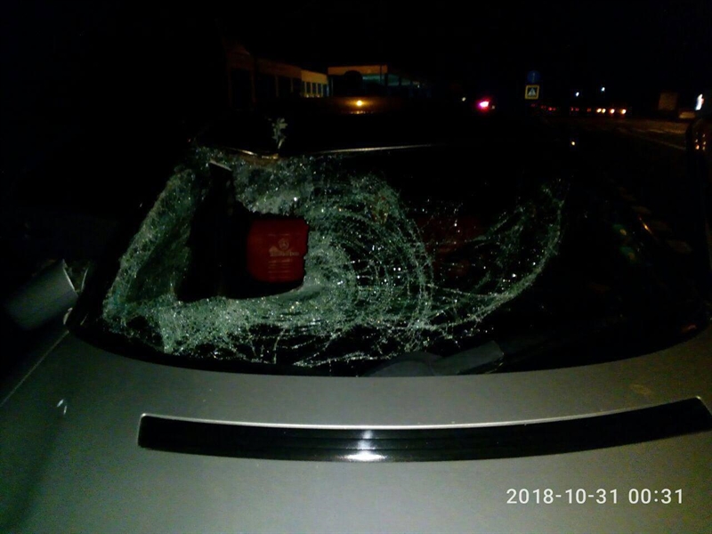 В Одесской области иномарка насмерть сбила пешехода