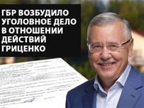 Гриценко обвинили в злоупотреблении служебным положением