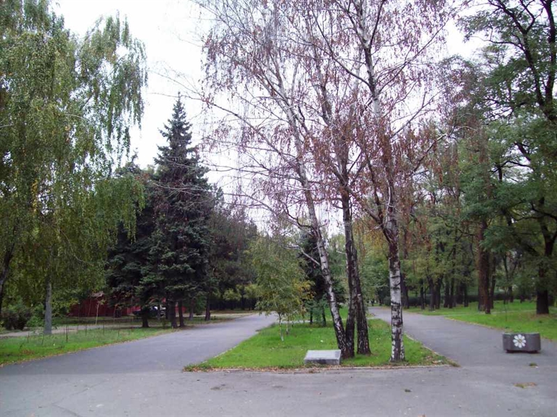 В одесском парке восстановят пруды