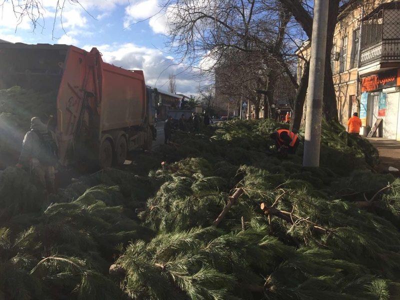 У сотрудников КП «Горзелентрест» сейчас началась жаркая пора по переработке елок