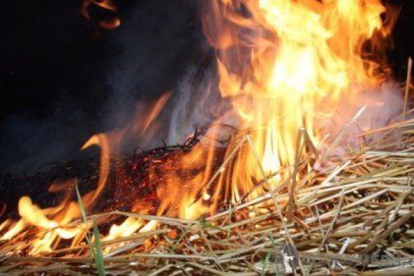 В Белгород-Днестровском районе горело сенохранилище